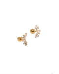 Screwback Stud Earrings - Delaney Gold